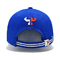 BSCI 6 패널 클래식 스포츠 아빠 모자 수직 로고 파란색 면화 모자 남자 여자 야구 모자